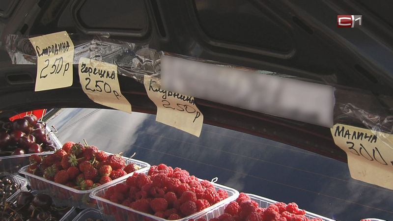 Клубника из Киргизии: жителей Югры призывают не покупать ягоду с машин