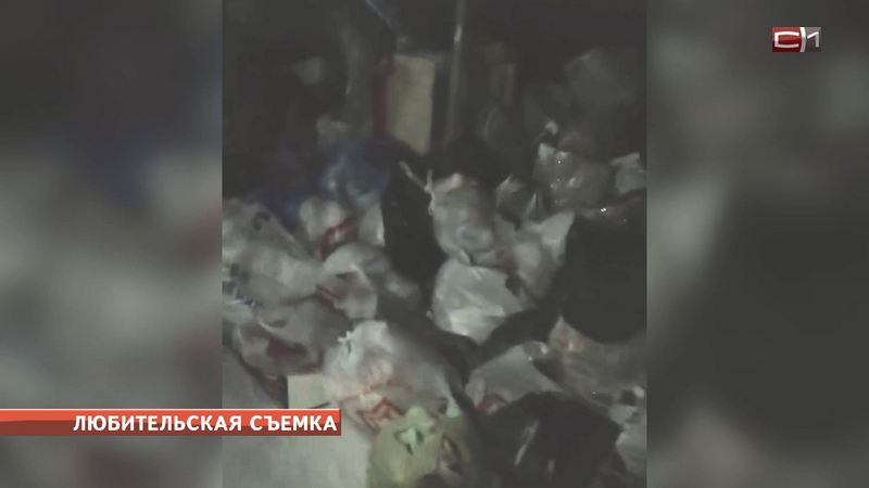 Найден виновный в новогоднем мусорном коллапсе Сургута