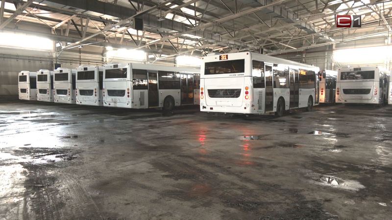 Первая партия прошла проверки: СПОПАТ выпустит на улицы Сургута новые автобусы